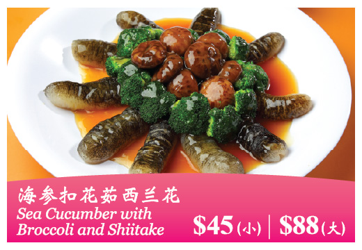 Mother’s Day Special - Sea Cucumber with Broccoli and Shiitake | Kimly Seafood Sea Cucumber with Broccoli and Shiitake – A luxurious and nourishing dish for Mother’s Day at Kimly Seafood.